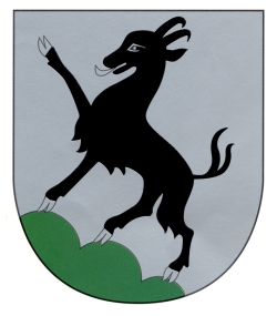 Stadt Kitzbühel